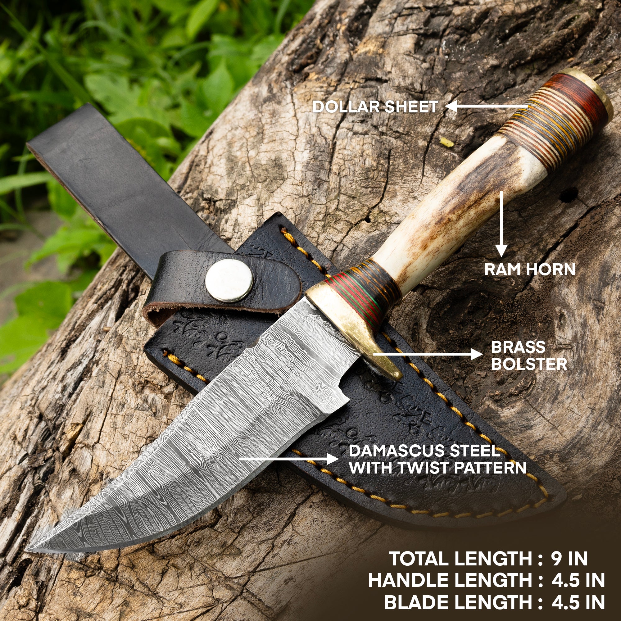 Premium Hunting Blade - Sharp and Versatile