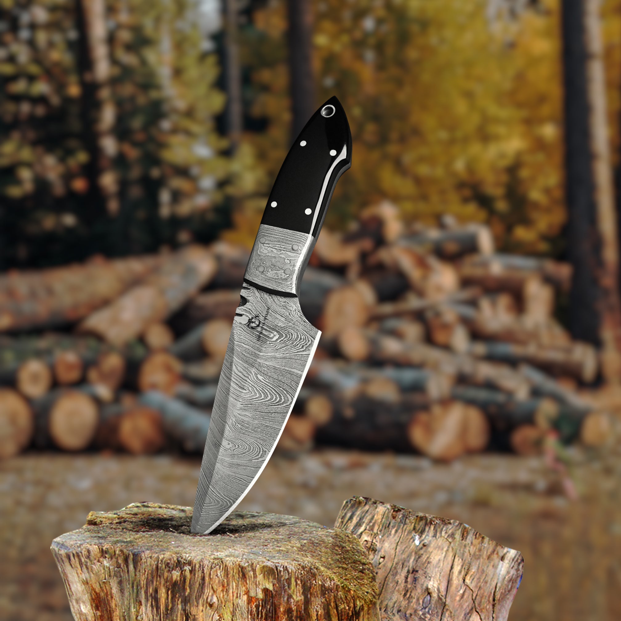 Versatile Hiking Knife - Essential Outdoor